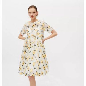 Sister Jane Lady Love Embroidered White Floral Sheer Dress Small NWT